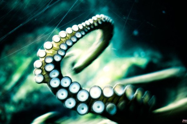 Кракен маркетплейс kr2web in площадка торговая