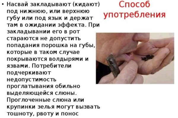 Ссылка кракен через тор