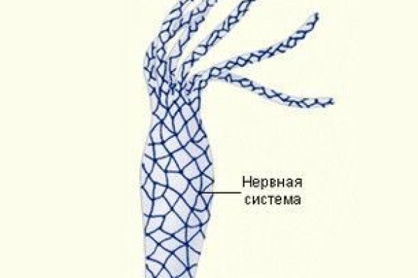 Кракен сайт at