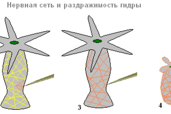 Как зайти в кракен