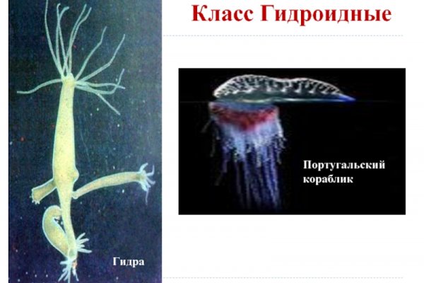 Onion сайт кракен
