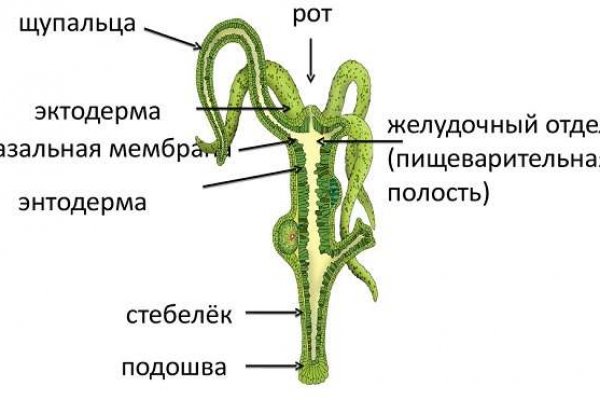 Кракен зеркало на сегодня