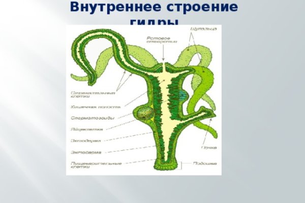 Кракен маркетплейс в тг