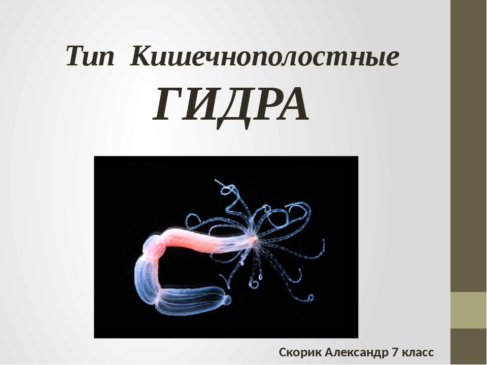 Кракен маркет kr2web in